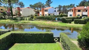 vista su un giardino con laghetto di Villa do Lago a Vibeira