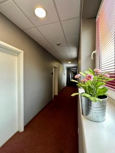 Kuchyň nebo kuchyňský kout v ubytování Hotel Paola