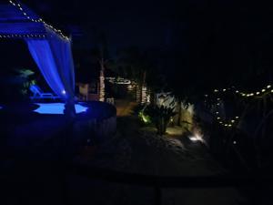 Gallery image of Casa Liberdade in Faro