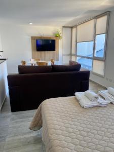 Μια τηλεόραση ή/και κέντρο ψυχαγωγίας στο Oconnor Suite Guest