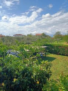 a view of a garden with trees and bushes at Villa Antonina 2 in Crecchio