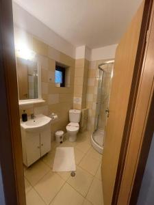 ein Badezimmer mit Toilette, Waschbecken und Dusche in der Unterkunft Elitegasthaus Moieciu 2 cazare Bran in Bran + 22 Fotos
