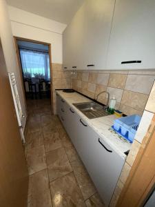 eine Küche mit Spüle und Arbeitsplatte in der Unterkunft Elitegasthaus Moieciu 2 cazare Bran in Bran