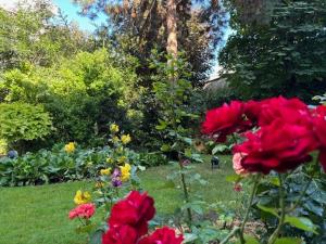 a garden with red roses and other flowers at L'écrin du 12- Studio élégant sur jardin avec parking in Paris