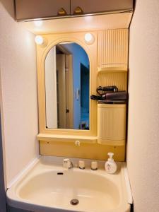 札幌市にあるNakajima502 1stop to Susukino, quiet location next to Nakajima Park, can accommodate 2 peopleの洗面台と鏡のあるバスルーム