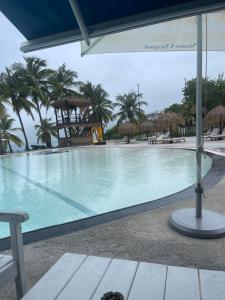 a large swimming pool with palm trees in the background at Diamond Studio KANAN in Le Diamant