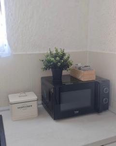 a microwave sitting on a counter with a plant on it at Apartman Lunna in Vrsi