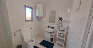 a white bathroom with a toilet and a sink at Apartman Lunna in Vrsi +5 photos