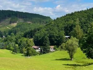 a green field with a house in the middle of a mountain at Am Damwildgehege II in Oberveischede +4 photos