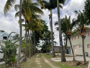 Taman di luar Appartement confortable à Morne-à-l'Eau - 54 m² avec balcon