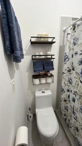 a bathroom with a white toilet and a shower at Casa Cerezo in La Paz
