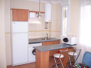 Virtuvė arba virtuvėlė apgyvendinimo įstaigoje Apartamentos Creoli