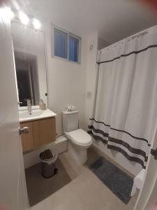 拉塞雷纳Brisa Serena Suites Dpto 2D 2B Full Equipado的浴室设有卫生间、水槽和淋浴帘