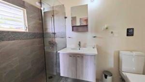 迪斯卡弗里贝Chic 2BDR Oceanview Escape, Pool & Beach Access的带淋浴、水槽和马桶的浴室