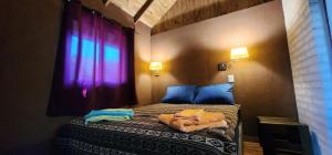a bedroom with two beds and a purple window at El Pueblito Lodge in El Soberbio