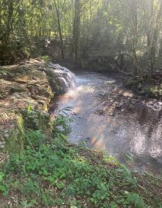 un arroyo en medio de un bosque en El Pueblito Lodge, en El Soberbio 4 fotos más