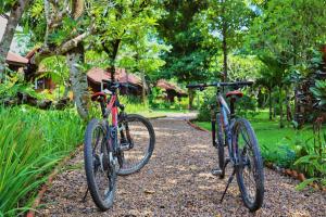 two bikes are parked on a gravel trail at La Folie Lodge in Champasak