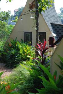 a woman standing in front of a house with plants at Warm Season  +4 photos