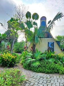 a house with a bunch of plants in front of it at Warm Season 