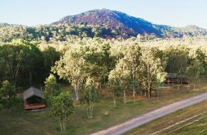 Příroda nedaleko luxury tent + 7 fotografií