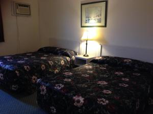 Un pat sau paturi într-o cameră la Plains Motor Inn
