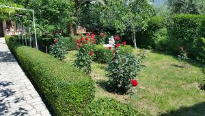 Zahrada ubytování Guesthouse Mira