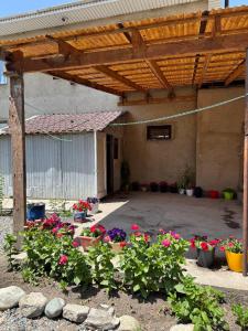 Zahrada ubytování Guest House Alim