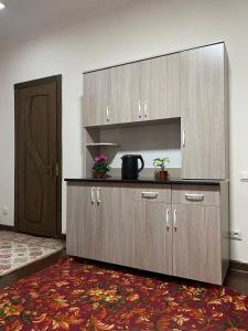 Kuchyň nebo kuchyňský kout v ubytování Guest House Alim