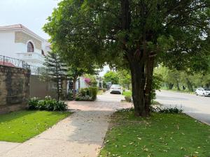 un árbol en una acera al lado de una calle en Solace Inn, en Islamabad