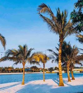 a group of palm trees on a beach at Vinhome Smart City Apartment-Studio Sakura Luxury in Phú Thú