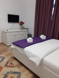 a bedroom with a bed and a tv on a desk at Villa Stoia in Ocna Sibiului