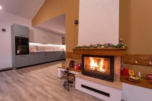 a living room with a fireplace in a kitchen at Casa Nordica in Poiana Uzului
