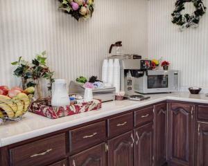 Afbeelding uit fotogalerij van Econo Lodge Van Horn in Van Horn