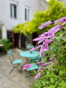 Zahrada ubytování Hotel de la Sologne