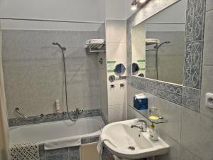 A bathroom at Hotel U Růže