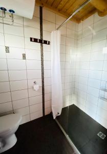 a bathroom with a shower and a toilet at Cozy Cabins Vydmantai in Kiauleikiai