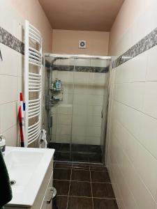 a bathroom with a shower and a sink at Obuda flat in Budapest