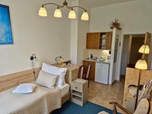 Η κουζίνα ή μικρή κουζίνα στο Hotel U Růže