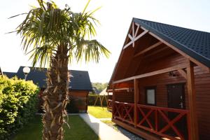 dom z palmą przed nim w obiekcie Rozewska Bliza Domki Letniskowe w Jastrzębiej Górze