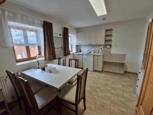 A kitchen or kitchenette at Hotel U Růže