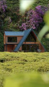 Zahrada ubytování Nesli Villa & Bungalow - Dubleks Bahçeli Villa