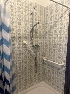 a bathroom with a shower with blue and white wallpaper at Garden Villa by the sea, Mesco 60 in Monterosso al Mare