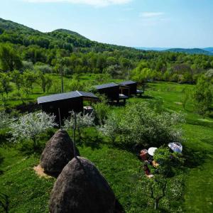 a view of a garden with two buildings in a field at LakeView Villas  +14 photos