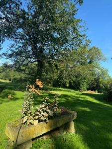 Un jardín de rocas con una pila de rocas y un árbol. en Charming House Near Gondrexange Lake, en Jeuxey 11 fotos más