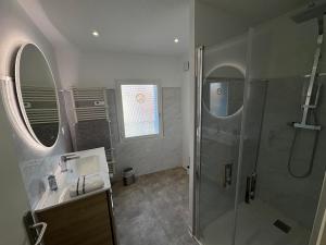 a bathroom with a shower and a sink at La Petite Étoile d'Avignon in Avignon +60 photos
