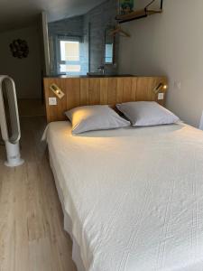 Postel nebo postele na pokoji v ubytování gîtes du Cady