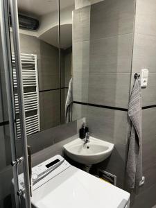 un bagno con lavandino e specchio di Útulný apartmán v historickém centru města Písek a Písek Altre 14 foto