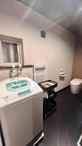 a bathroom with a sink and a toilet at Villa Shunten in Wada