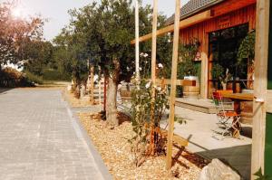 a patio with trees and a table and a building at Ferienwohnungen am Scharmützelsee in Diensdorf-Radlow +6 photos