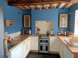 a kitchen with blue walls and a stove top oven at Flo's Cottage self-catering in Newark-on-Trent
